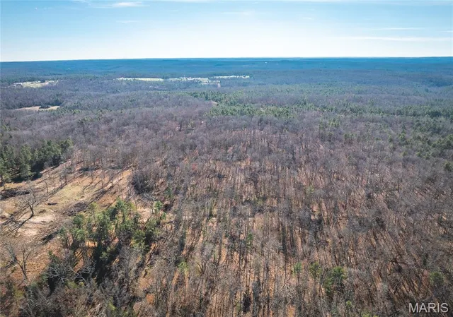 $450,000 | 17029 Deason Drive, Licking, MO 65542