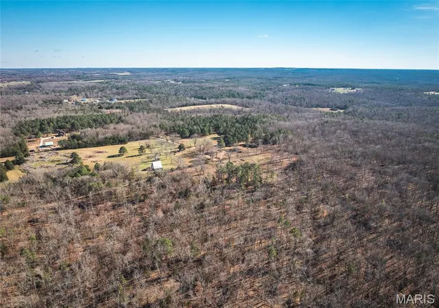 $450,000 | 17029 Deason Drive, Licking, MO 65542