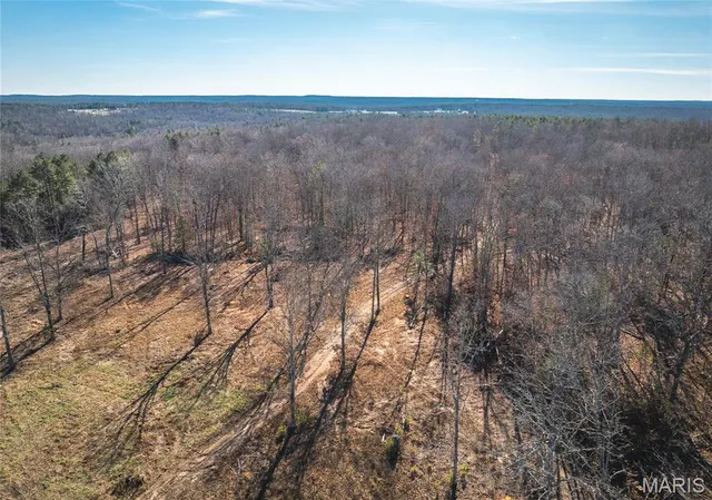 $450,000 | 17029 Deason Drive, Licking, MO 65542