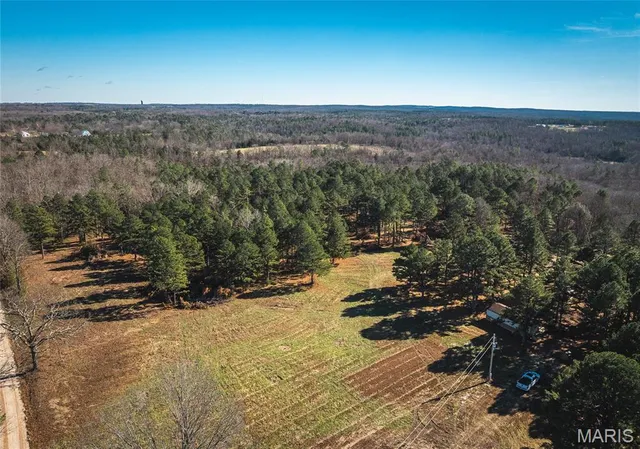 $450,000 | 17029 Deason Drive, Licking, MO 65542