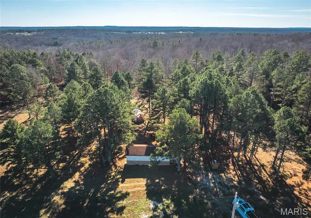 $450,000 | 17029 Deason Drive, Licking, MO 65542