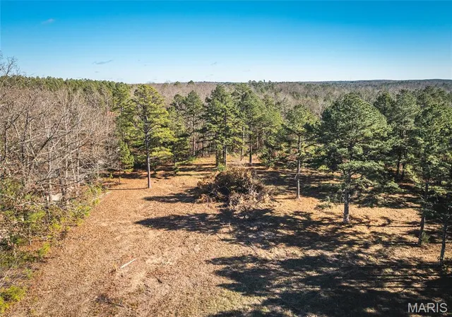 $450,000 | 17029 Deason Drive, Licking, MO 65542