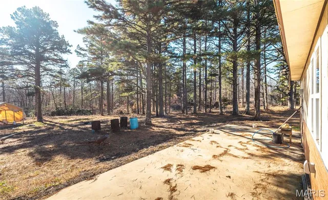 $450,000 | 17029 Deason Drive, Licking, MO 65542