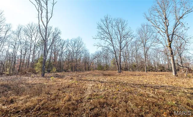 $450,000 | 17029 Deason Drive, Licking, MO 65542