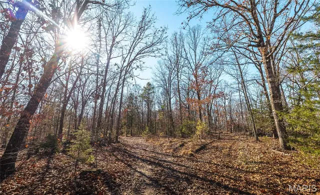 $450,000 | 17029 Deason Drive, Licking, MO 65542