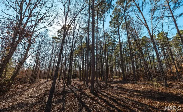 $450,000 | 17029 Deason Drive, Licking, MO 65542