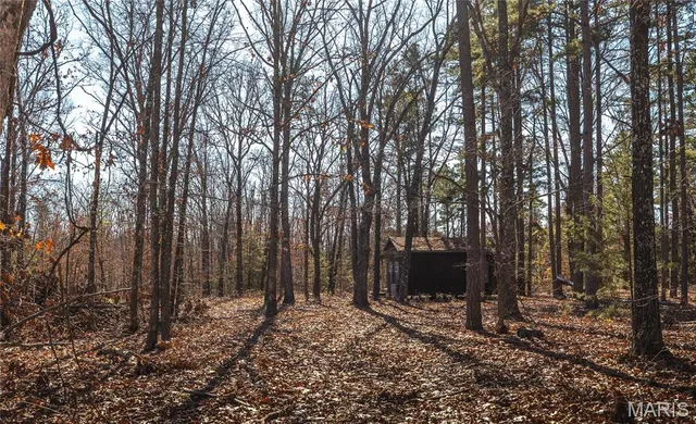 $450,000 | 17029 Deason Drive, Licking, MO 65542