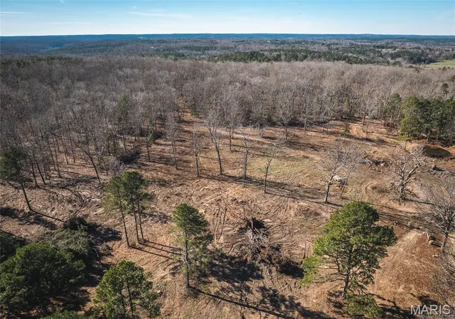 $450,000 | 17029 Deason Drive, Licking, MO 65542