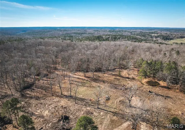 $450,000 | 17029 Deason Drive, Licking, MO 65542