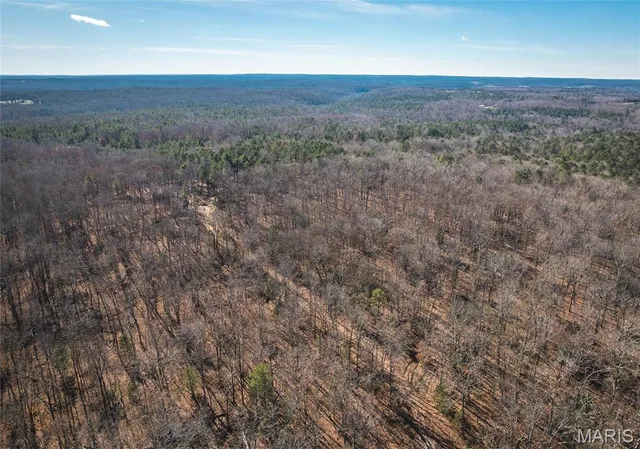 $450,000 | 17029 Deason Drive, Licking, MO 65542