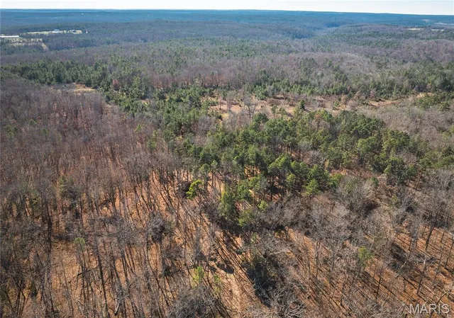 $450,000 | 17029 Deason Drive, Licking, MO 65542