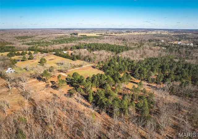 $450,000 | 17029 Deason Drive, Licking, MO 65542