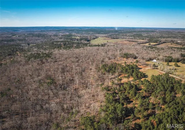 $450,000 | 17029 Deason Drive, Licking, MO 65542