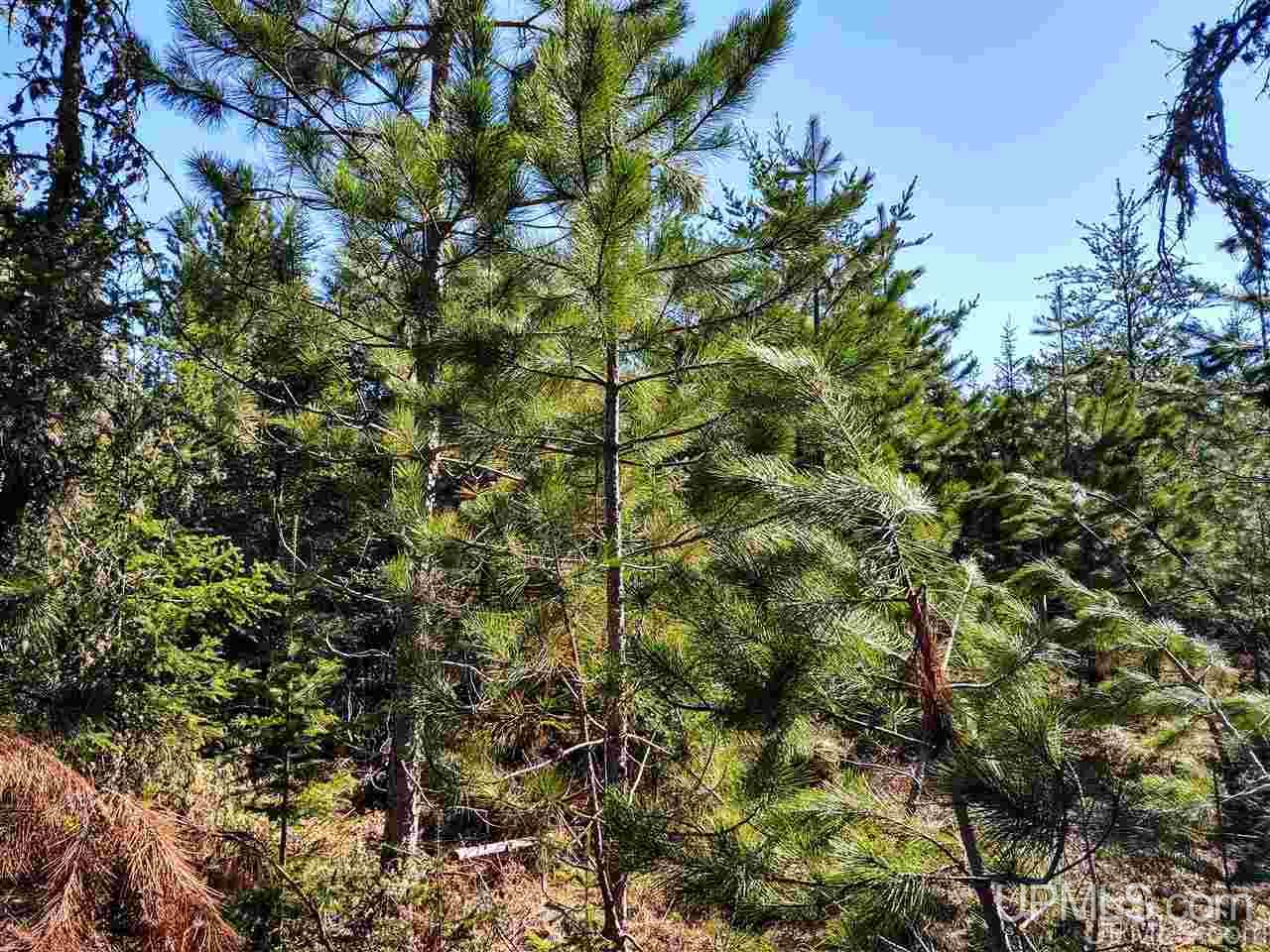 Tbd Forest Hwy 16 Road Iron River, MI 49935 - Photo 24 of 49