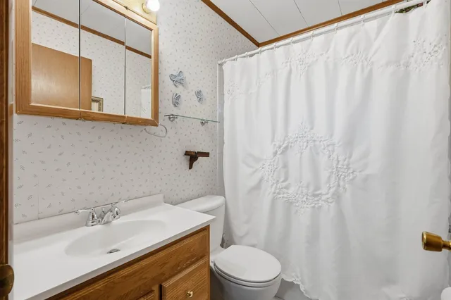 a bathroom with a sink a toilet and shower curtain