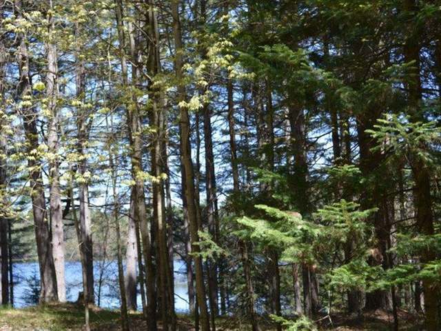 Lot 54 Twin Lake Road Conover, WI 54519 - Photo 7 of 20 Gallery Image 7