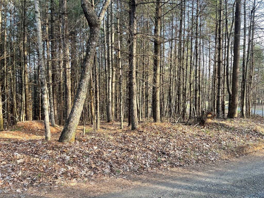 Tbd Tbd Road Galax, VA 24333 - Photo 3 of 14 Gallery Image 3