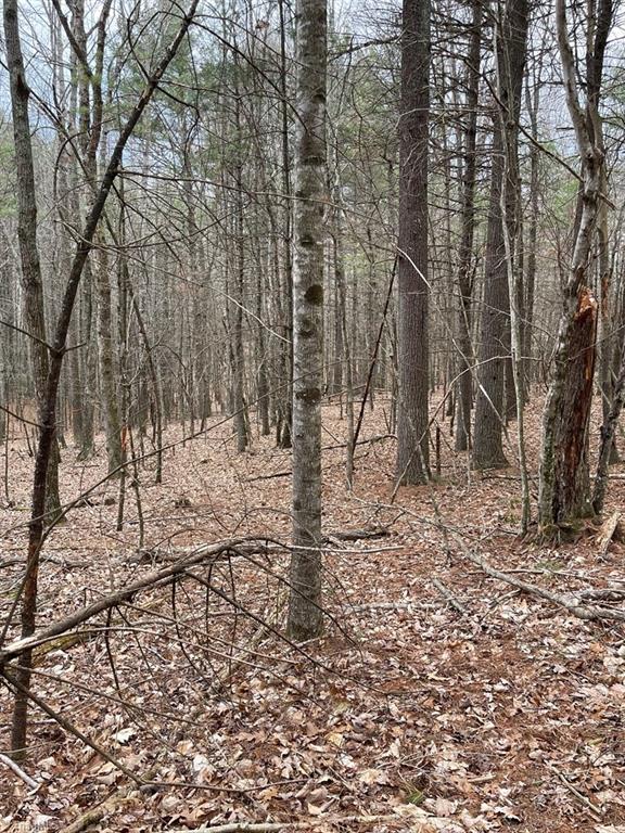 Tbd Tbd Road Galax, VA 24333 - Photo 4 of 14 Gallery Image 4