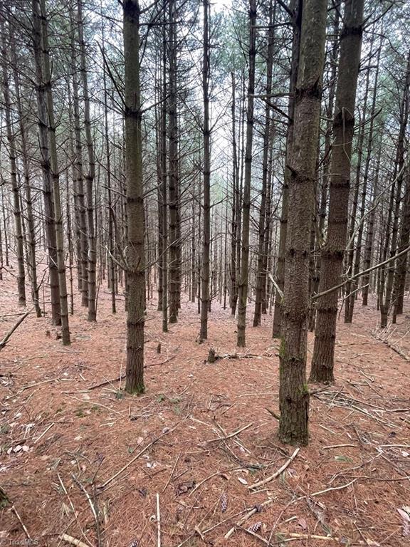 Tbd Tbd Road Galax, VA 24333 - Photo 5 of 14 Gallery Image 5