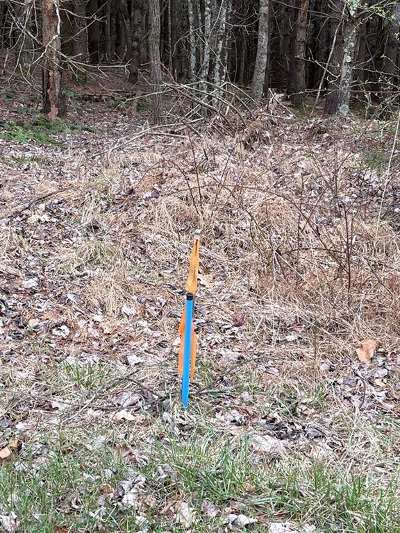 Tbd Tbd Road Galax, VA 24333 - Photo 8 of 14 Gallery Image 8