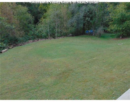 487 Misty River Road Chapmanville, WV 25508 - Photo 3 of 16 Land/Lot. Back Yard
