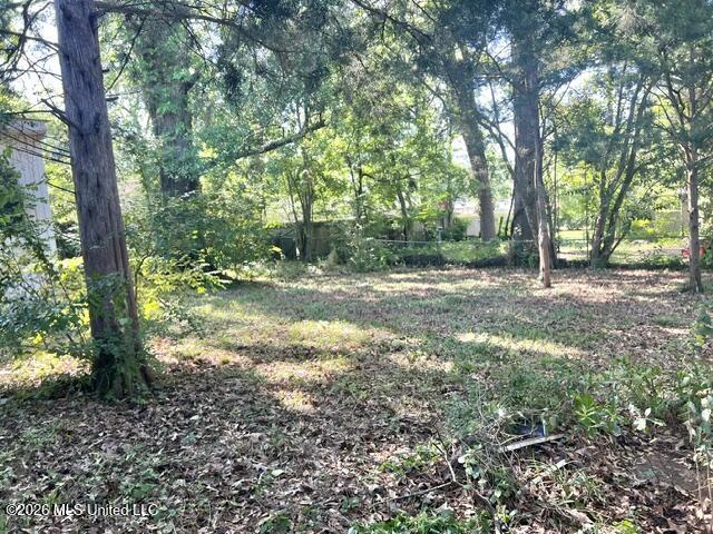 316 Lexington Avenue Jackson, MS 39209 - Photo 5 of 18 IMG_1498