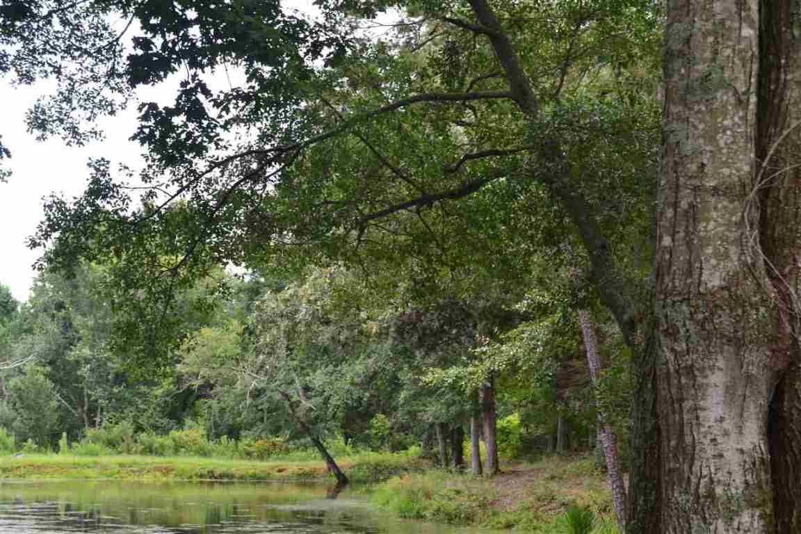 110 Cedar Pond Road Hartwell, GA 30643 - Photo 13 of 13 Gallery Image 13