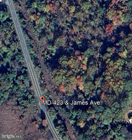 Fairhaven Road Dunkirk, MD 20754 - Photo 4 of 4 a view of flowers in a garden