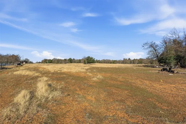 a view of a big yard with trees