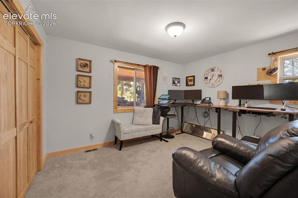 897 Fossil Creek Road Florissant, CO 80816 - Photo 16 of 41