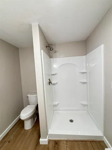 a bathroom with a shower and a toilet