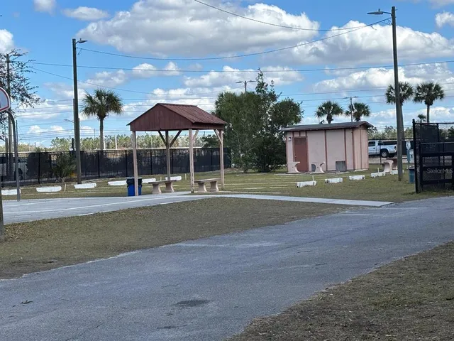 a city view with large trees