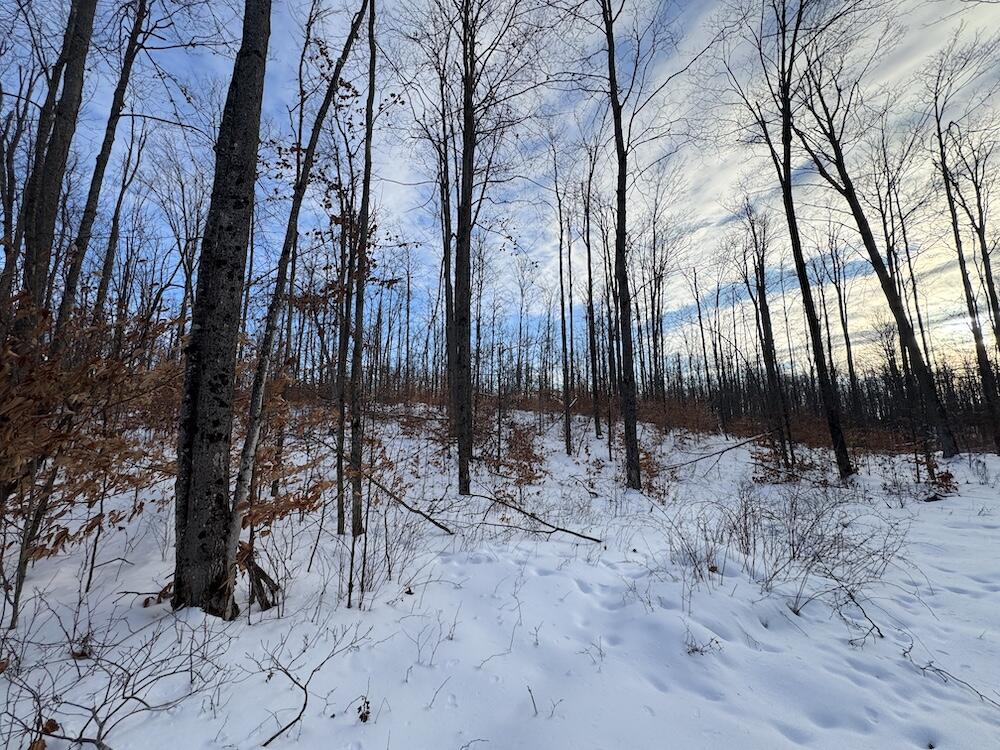 152-acres West Miller Road Mio, MI 48647 - Photo 131 of 137 IMG_9357 3