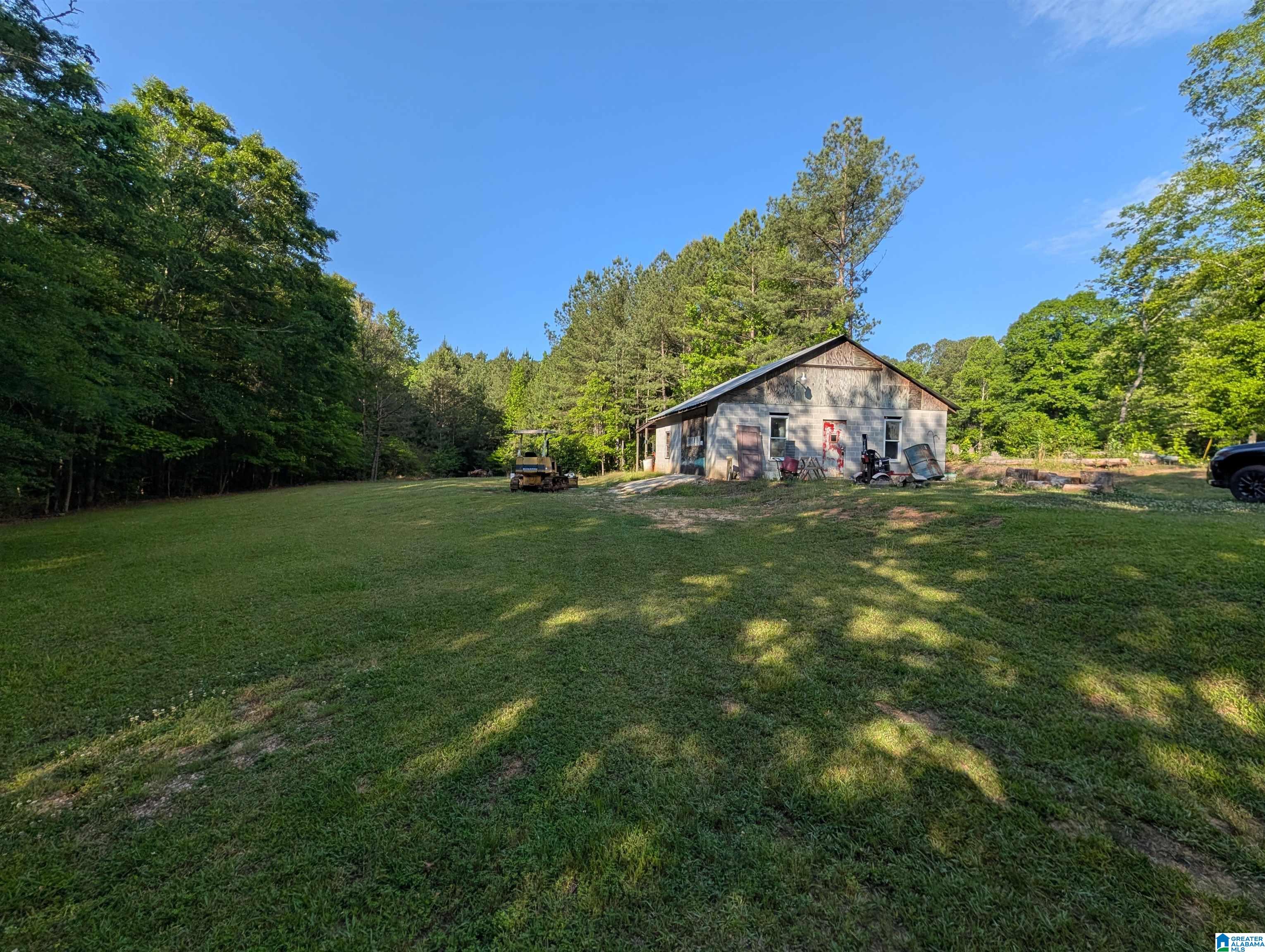 4561 Cook Springs Road Pell City, AL 35125 - Photo 5 of 20