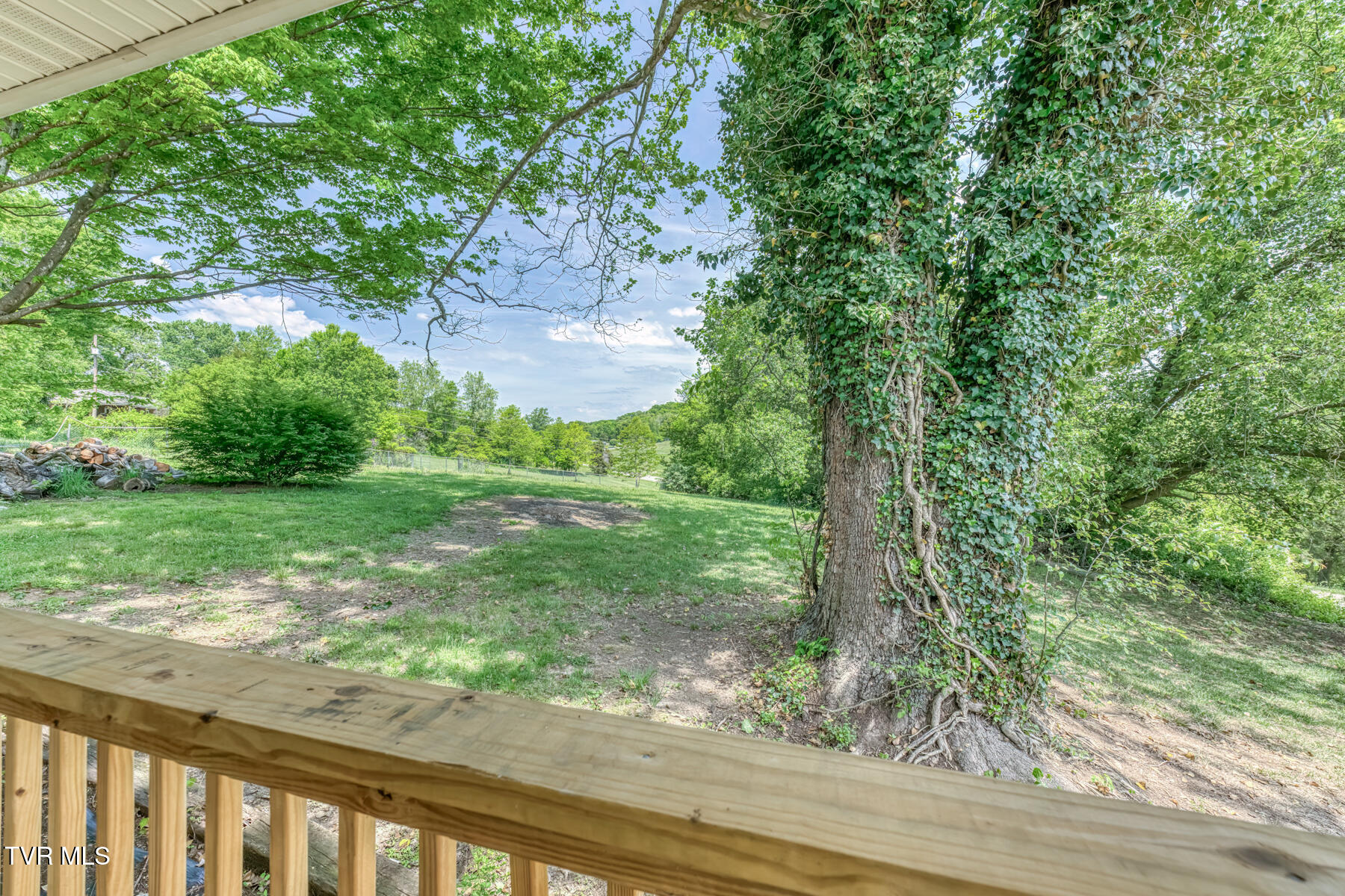 16905 Kingsport Highway Fall Branch, TN 37656 - Photo 13 of 81 16905 Kingsport Hwy-13