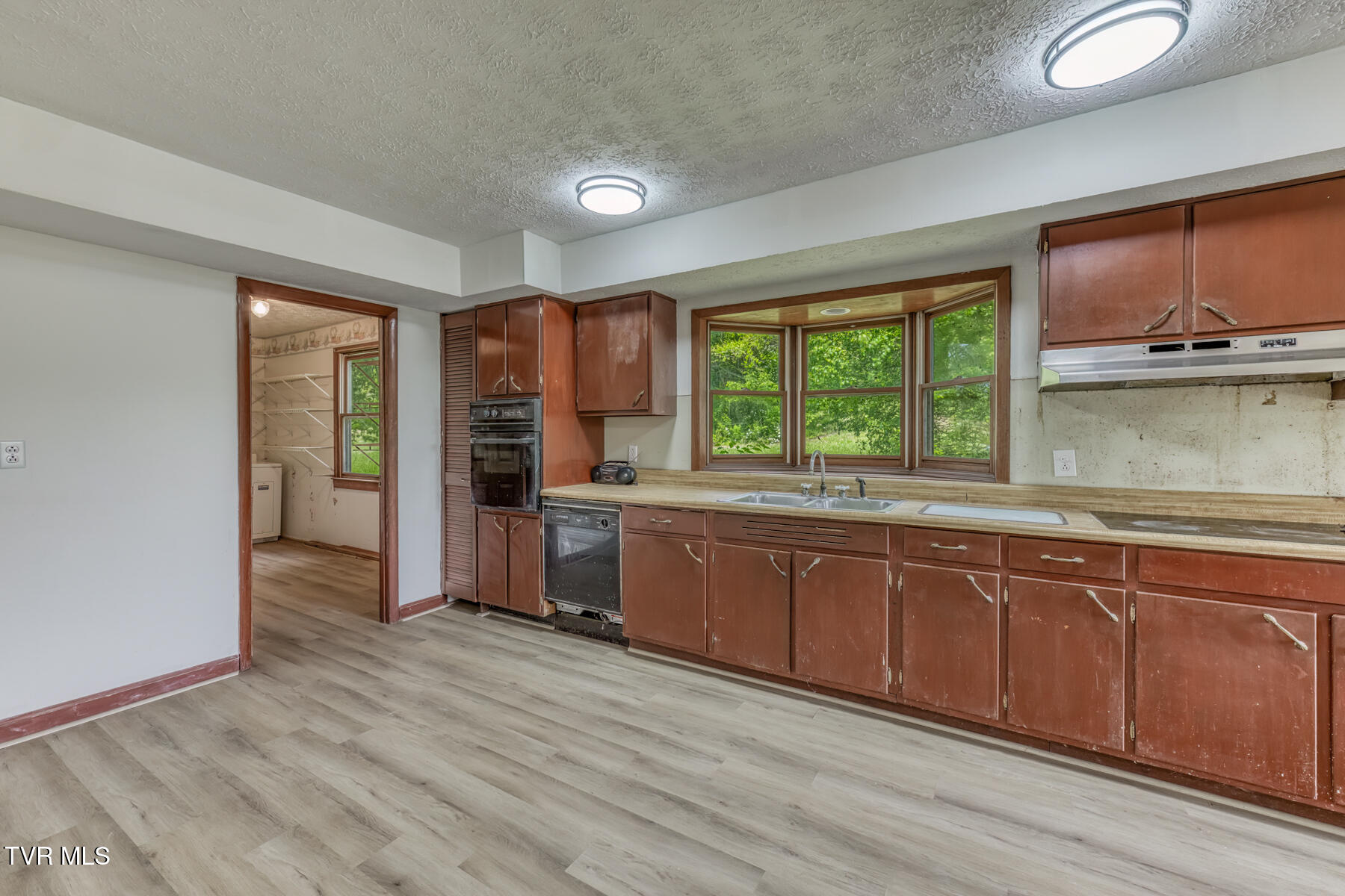 16905 Kingsport Highway Fall Branch, TN 37656 - Photo 42 of 81 16905 Kingsport Hwy-40
