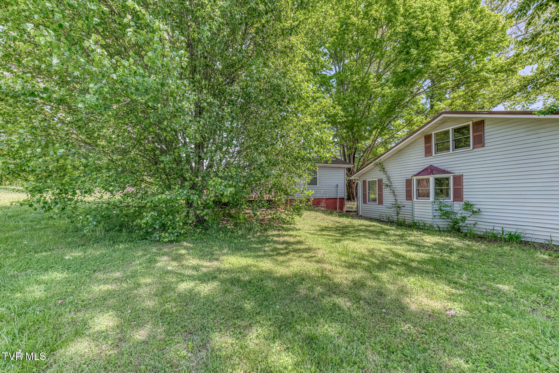 16905 Kingsport Highway Fall Branch, TN 37656 - Photo 59 of 81 16905 Kingsport Hwy-62