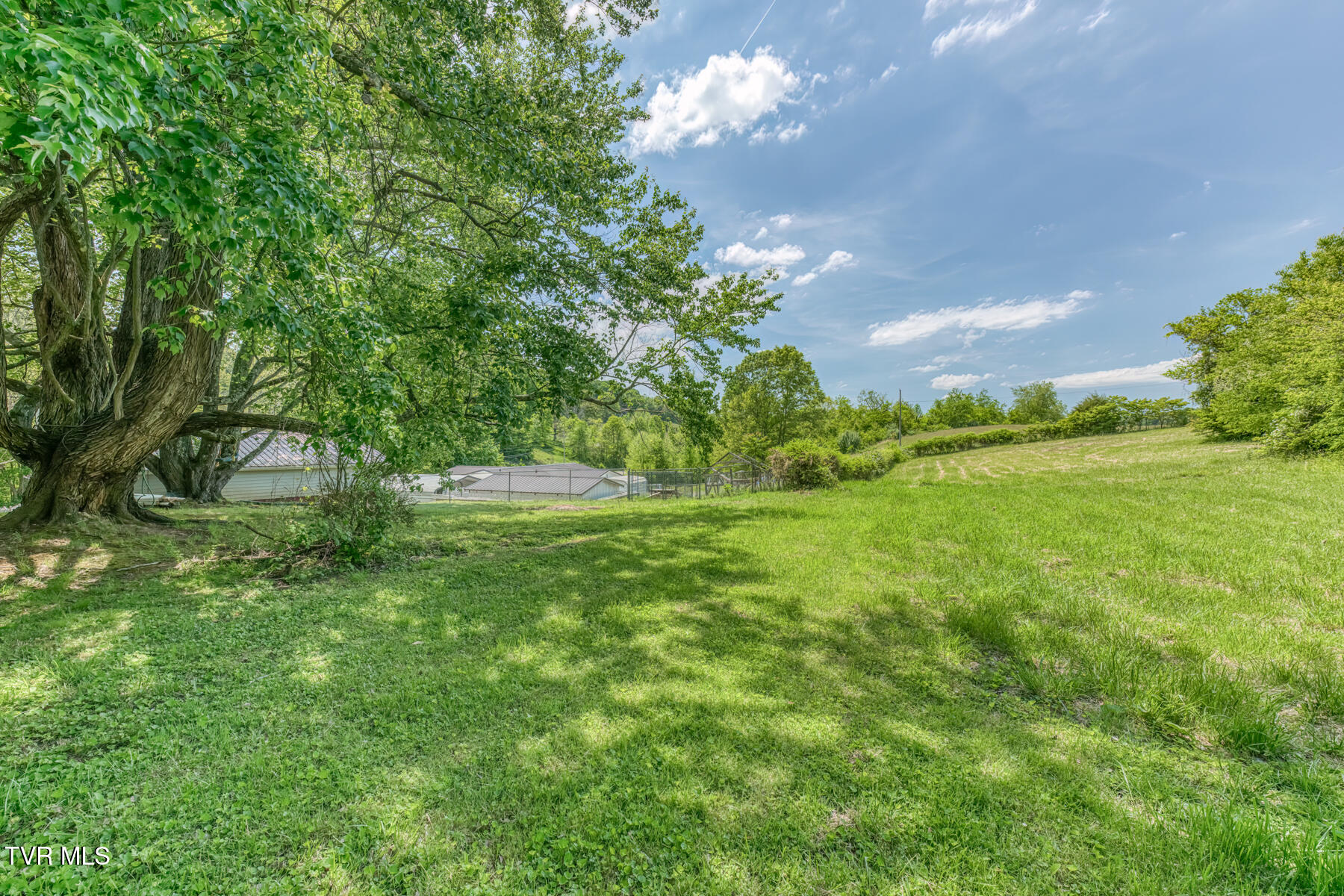 16905 Kingsport Highway Fall Branch, TN 37656 - Photo 60 of 81 16905 Kingsport Hwy-63