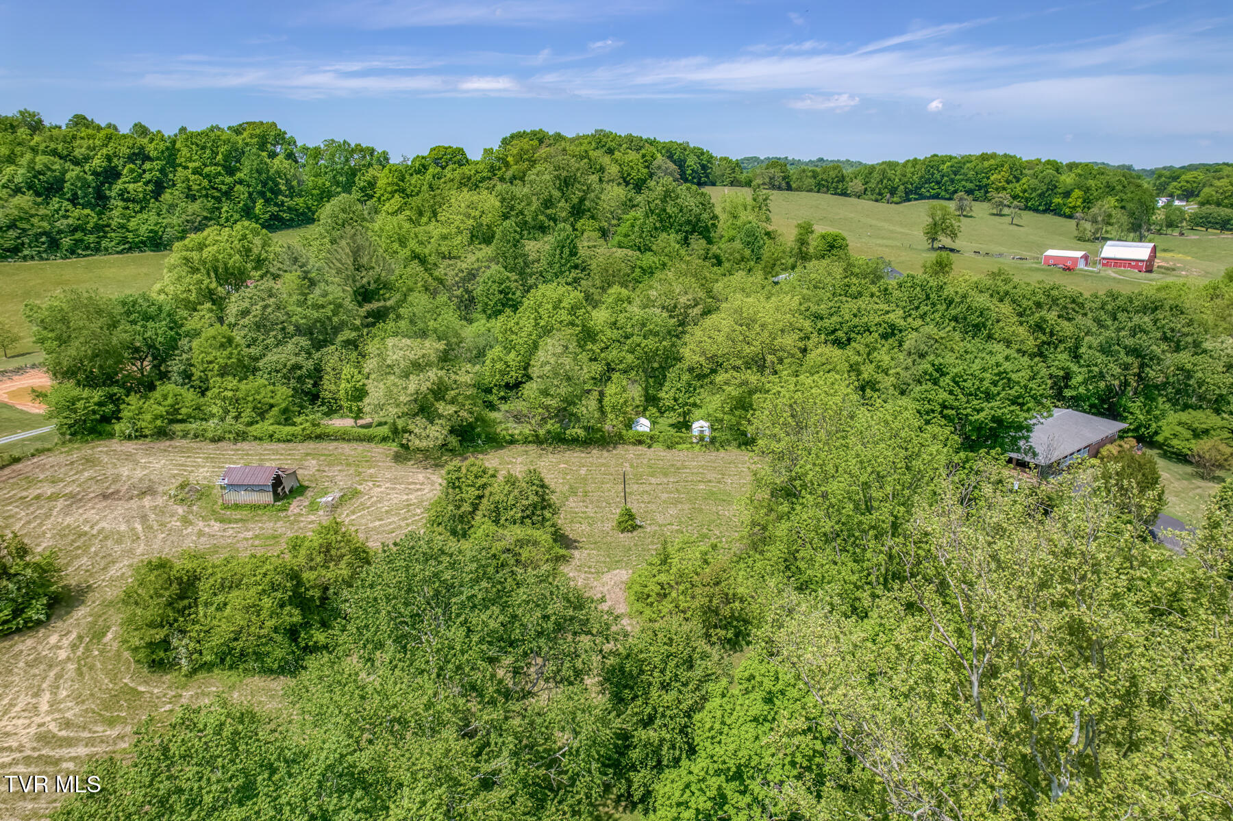 16905 Kingsport Highway Fall Branch, TN 37656 - Photo 77 of 81 16905 Kingsport Hwy-81