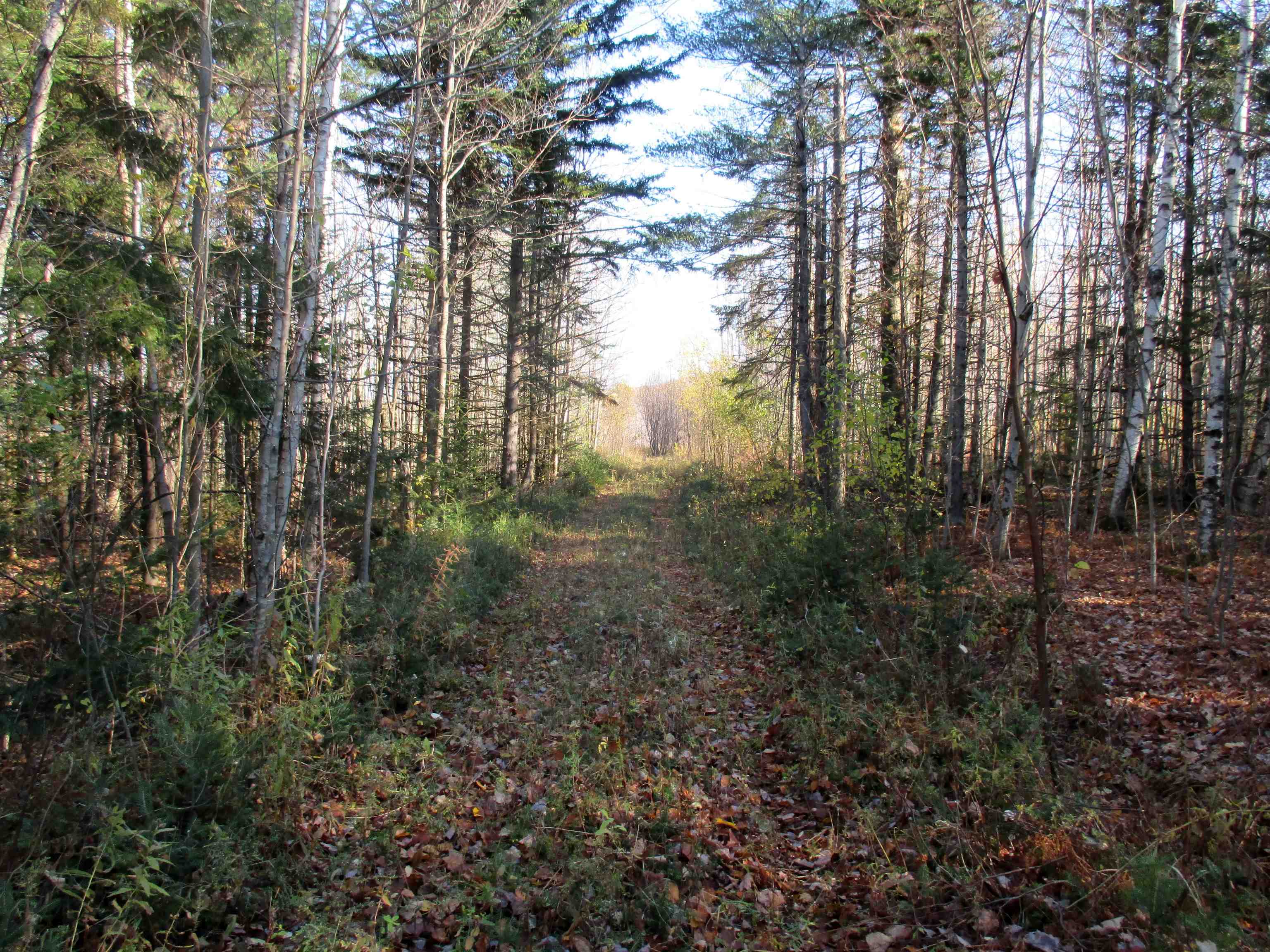 0 Farm Road Lowell, VT 05847 - Photo 1 of 10