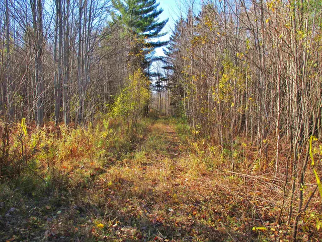 $75,000 | 0 Farm Road, Lowell, VT 05847