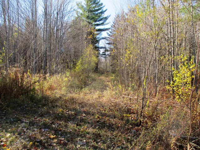 $75,000 | 0 Farm Road, Lowell, VT 05847