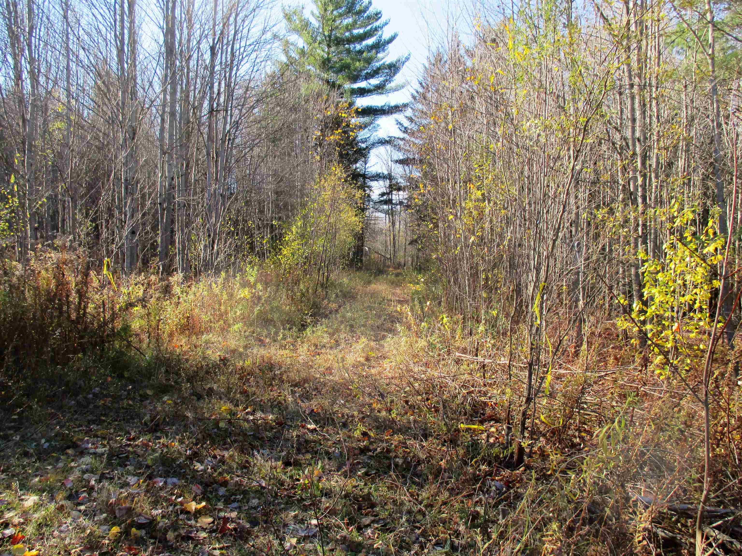 0 Farm Road Lowell, VT 05847 - Photo 3 of 10