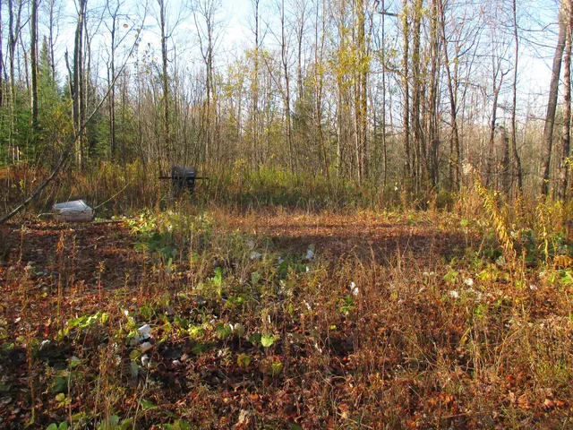 $75,000 | 0 Farm Road, Lowell, VT 05847