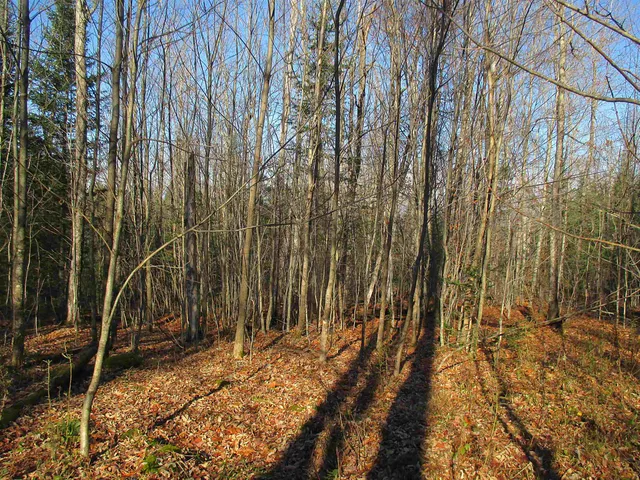 $75,000 | 0 Farm Road, Lowell, VT 05847