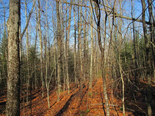 $75,000 | 0 Farm Road, Lowell, VT 05847