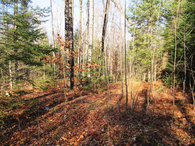 $75,000 | 0 Farm Road, Lowell, VT 05847