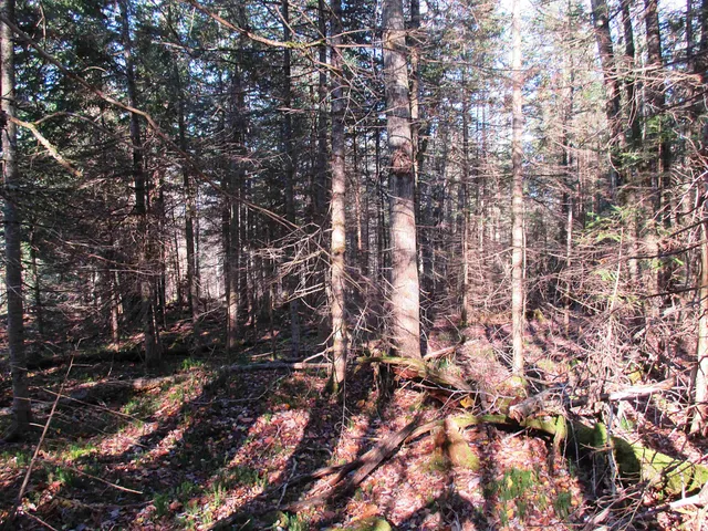 $75,000 | 0 Farm Road, Lowell, VT 05847