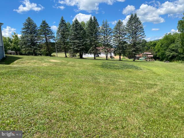 91 Vanormer Road McAlisterville, PA 17049 - Photo 8 of 25 Rear yard 3