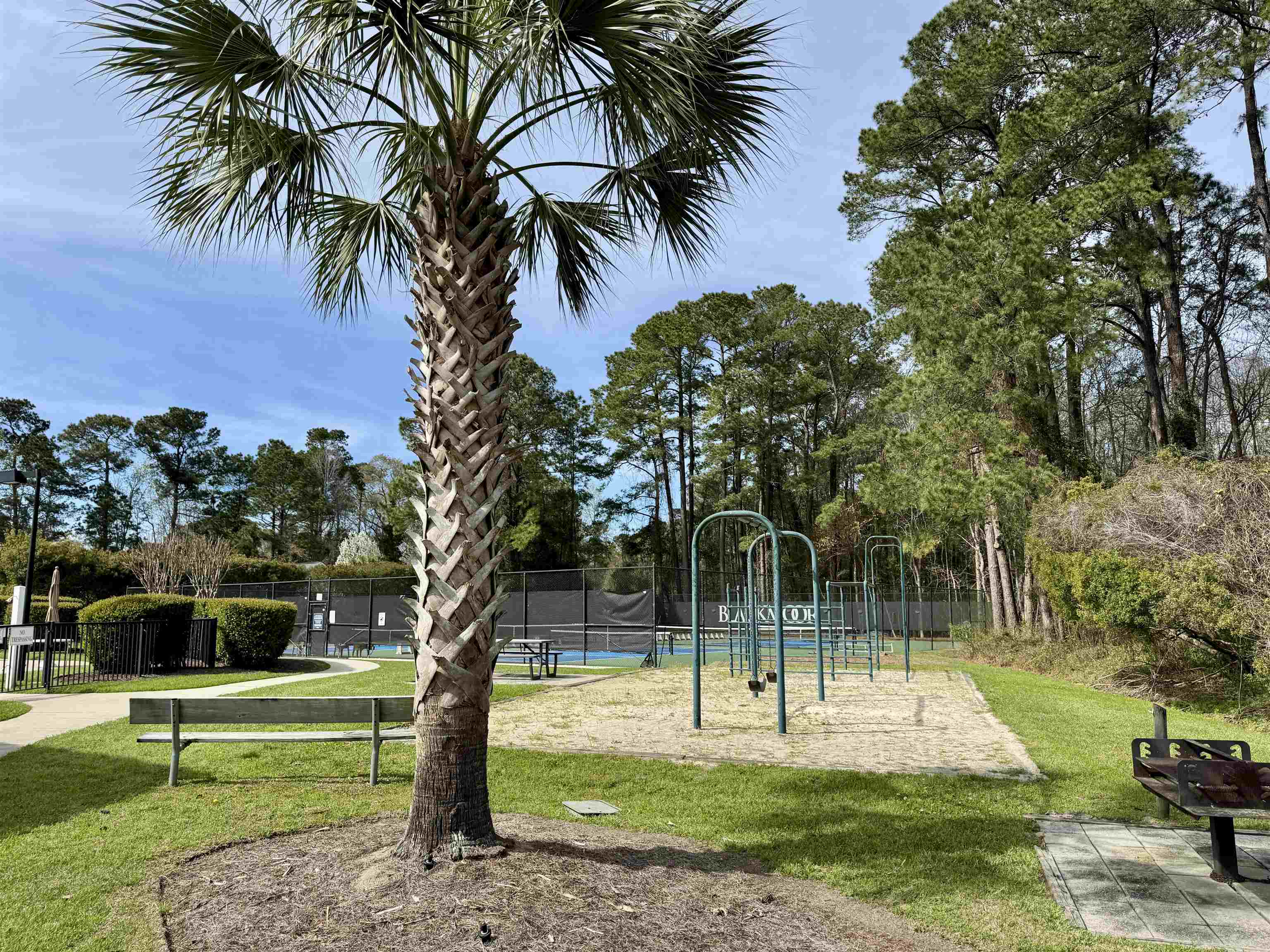 6486 Longwood Drive Murrells Inlet, SC 29576 - Photo 56 of 60